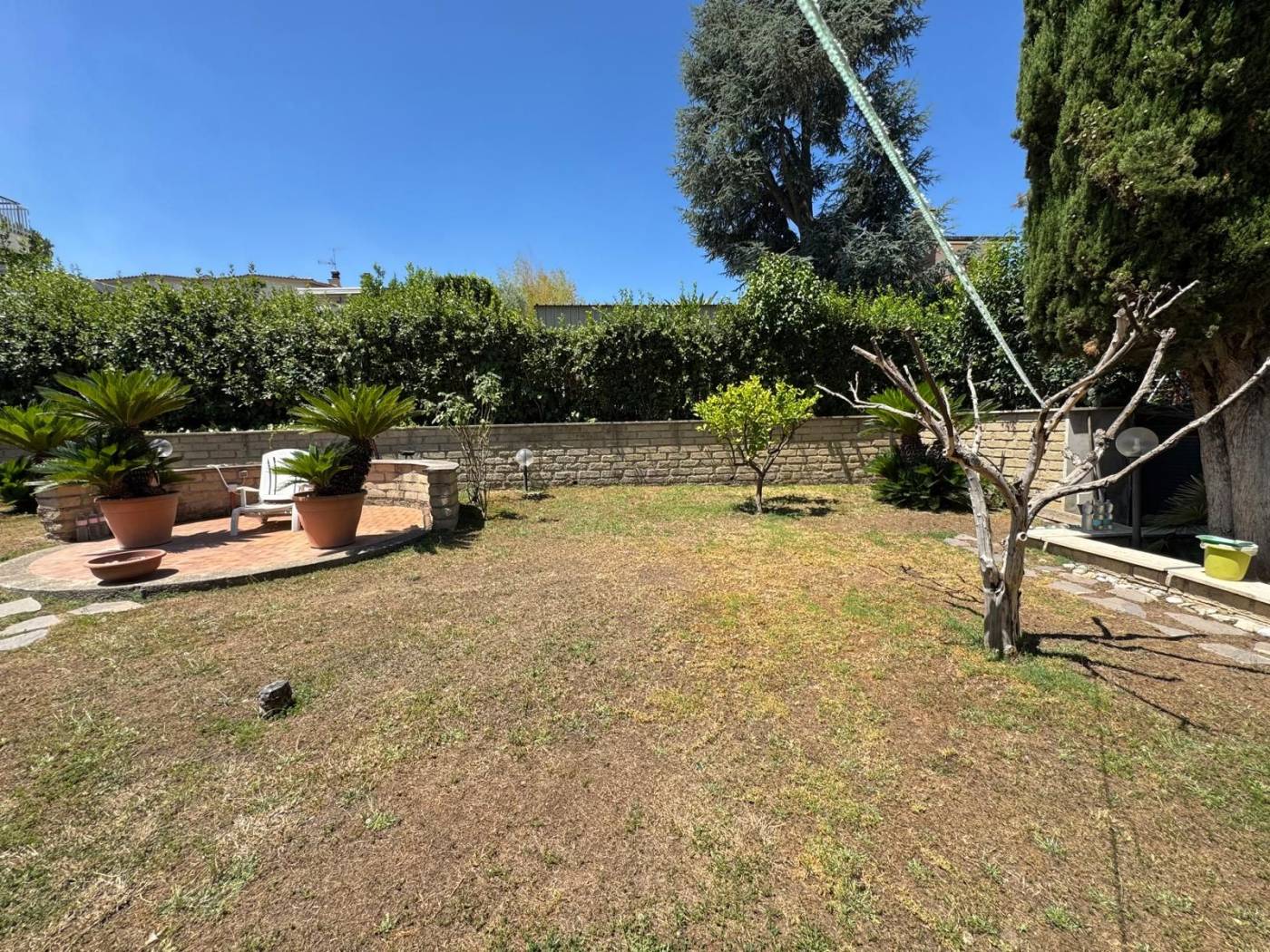 Giardino
