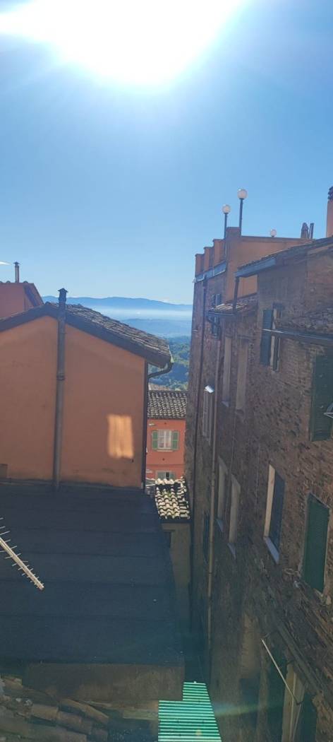 Vista