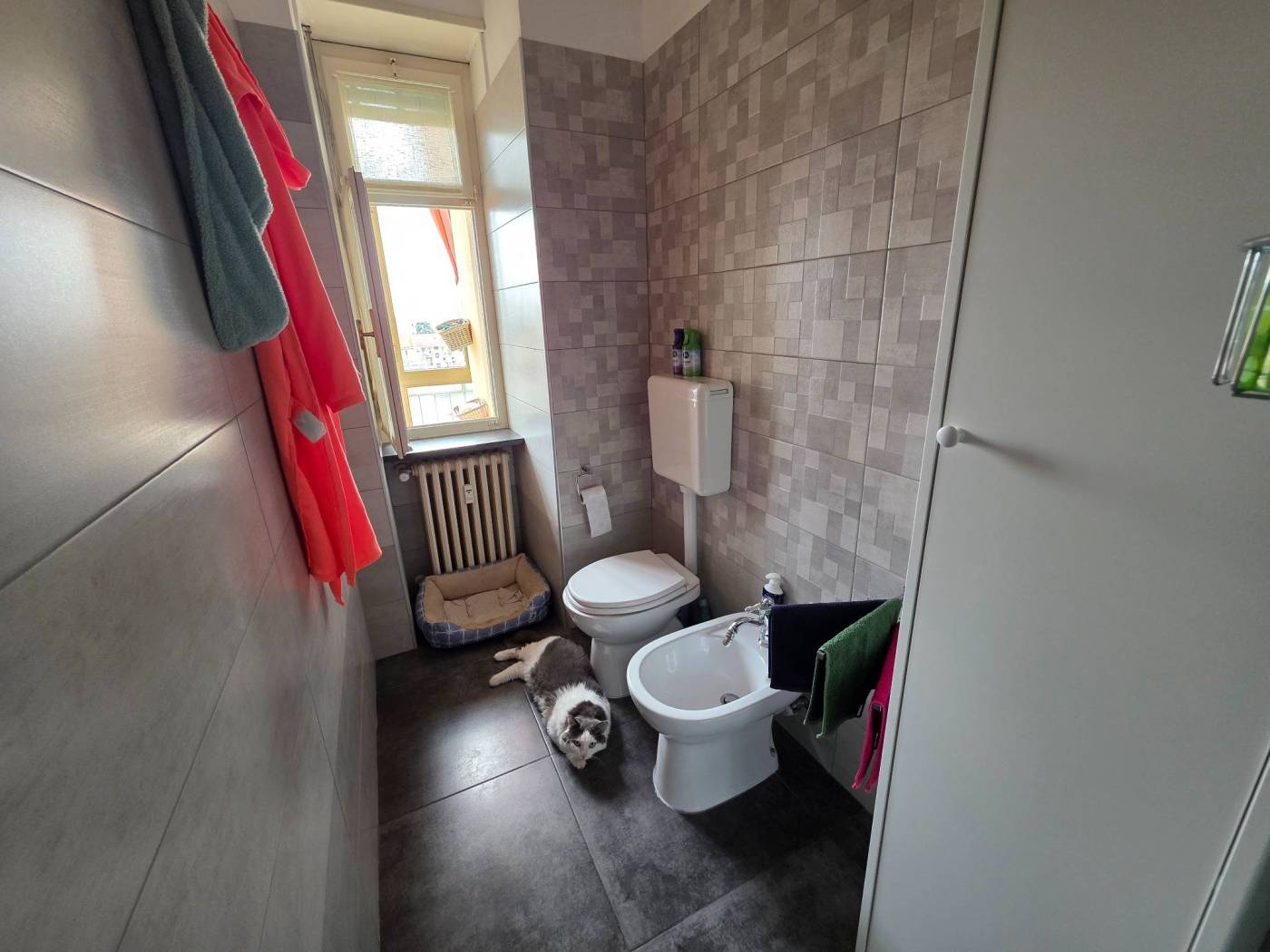 Bagno
