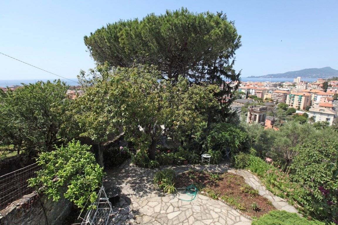 Vista