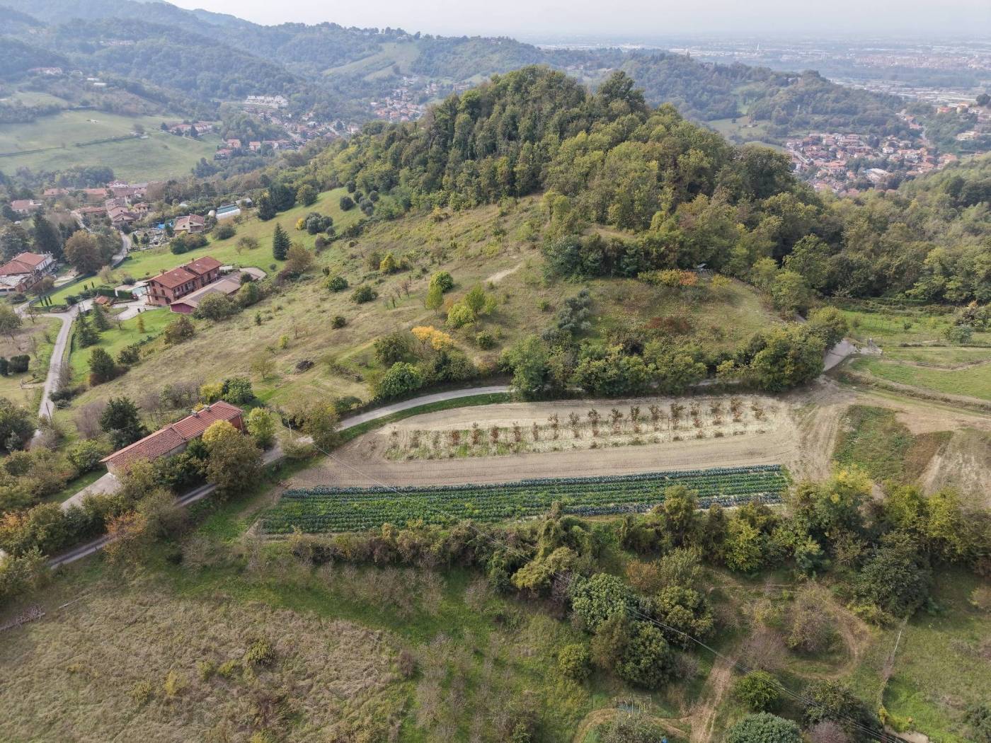 Terreno Terreno