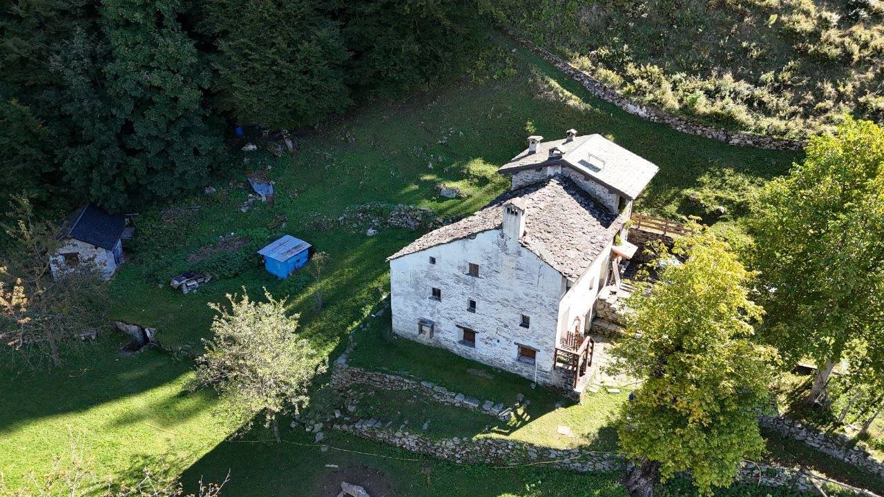 Vista