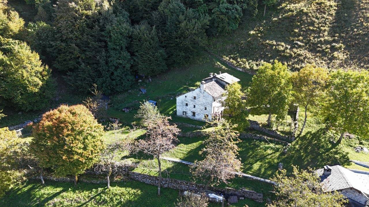 Vista