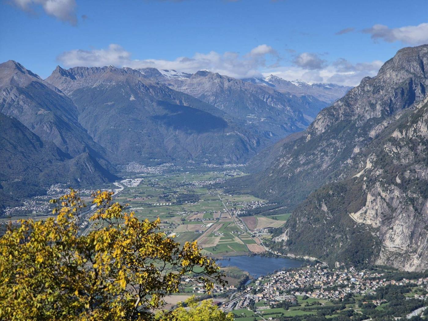 Vista