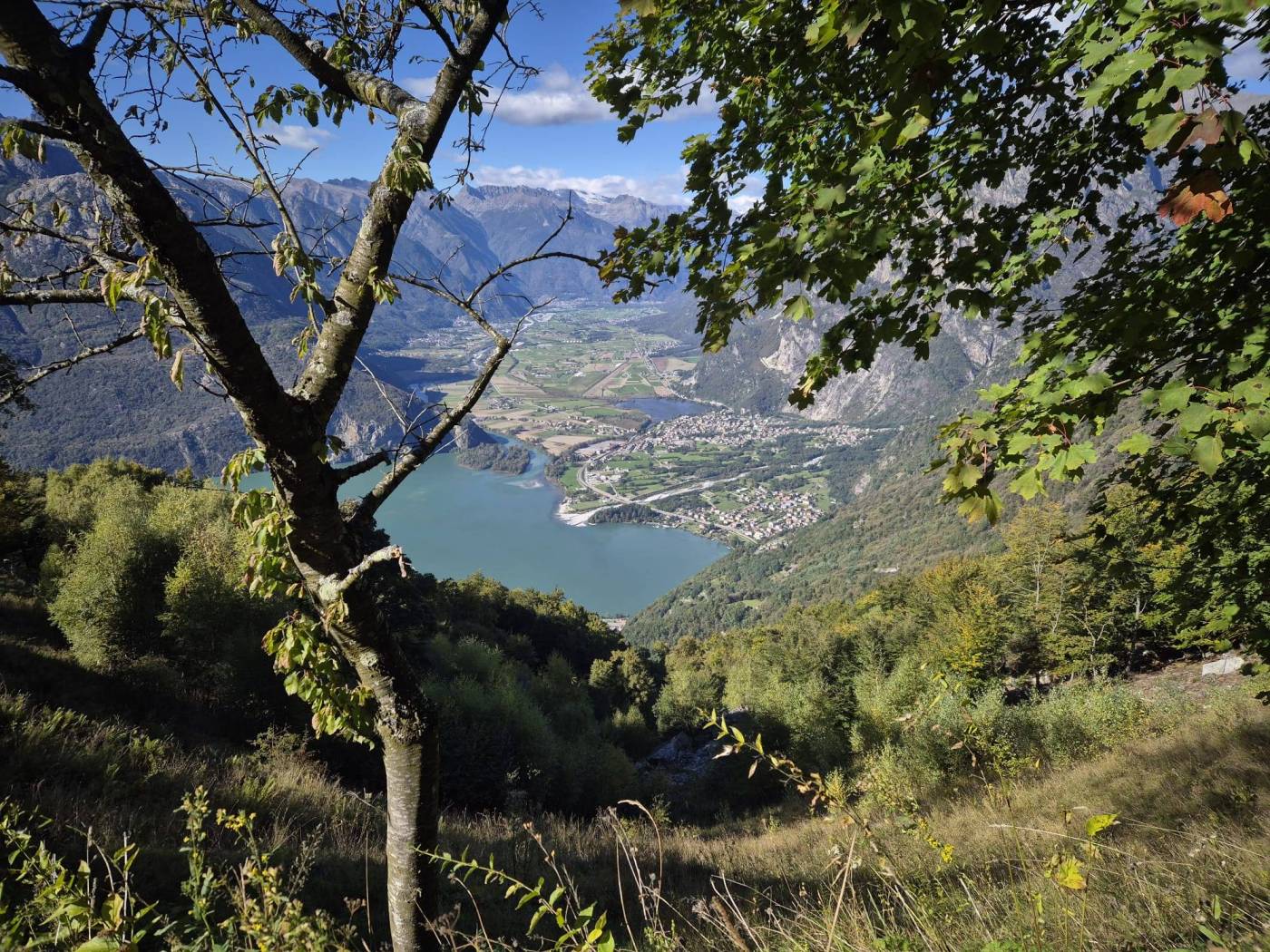 Vista