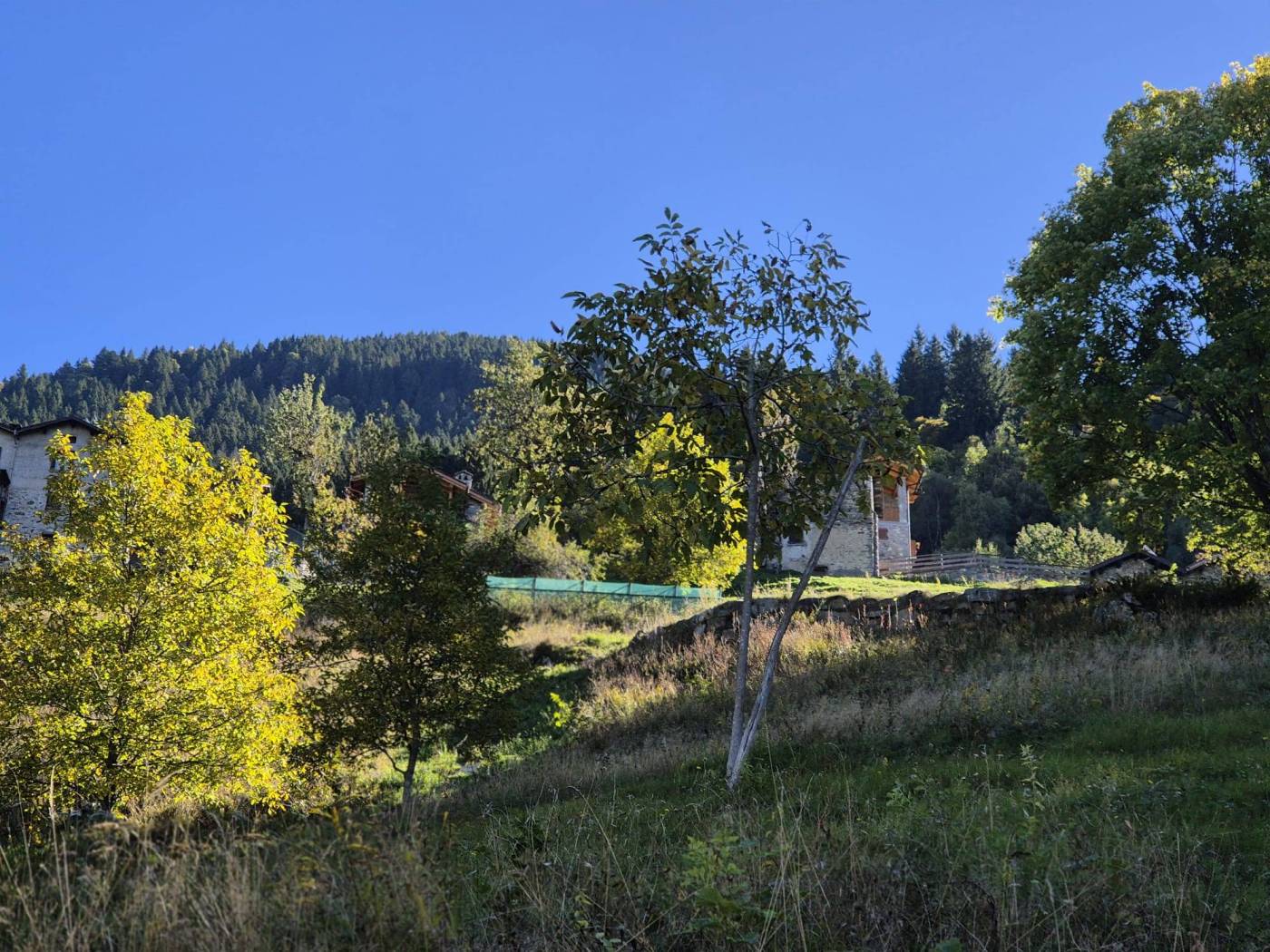 Terreno