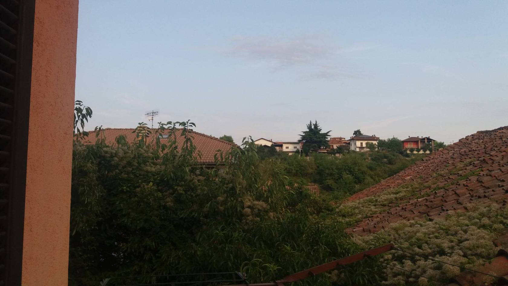 Vista Vista