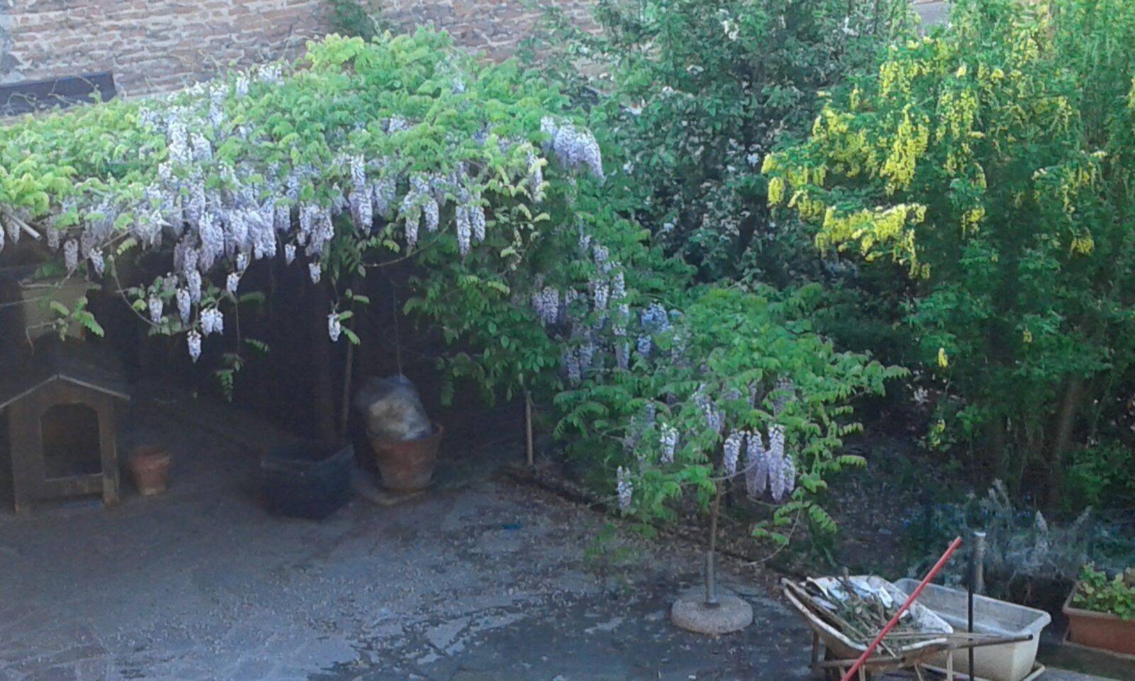 Giardino Giardino