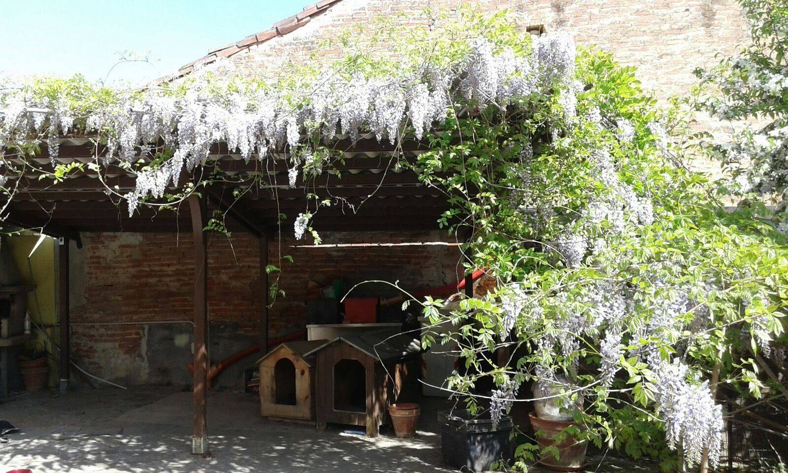 Giardino Giardino