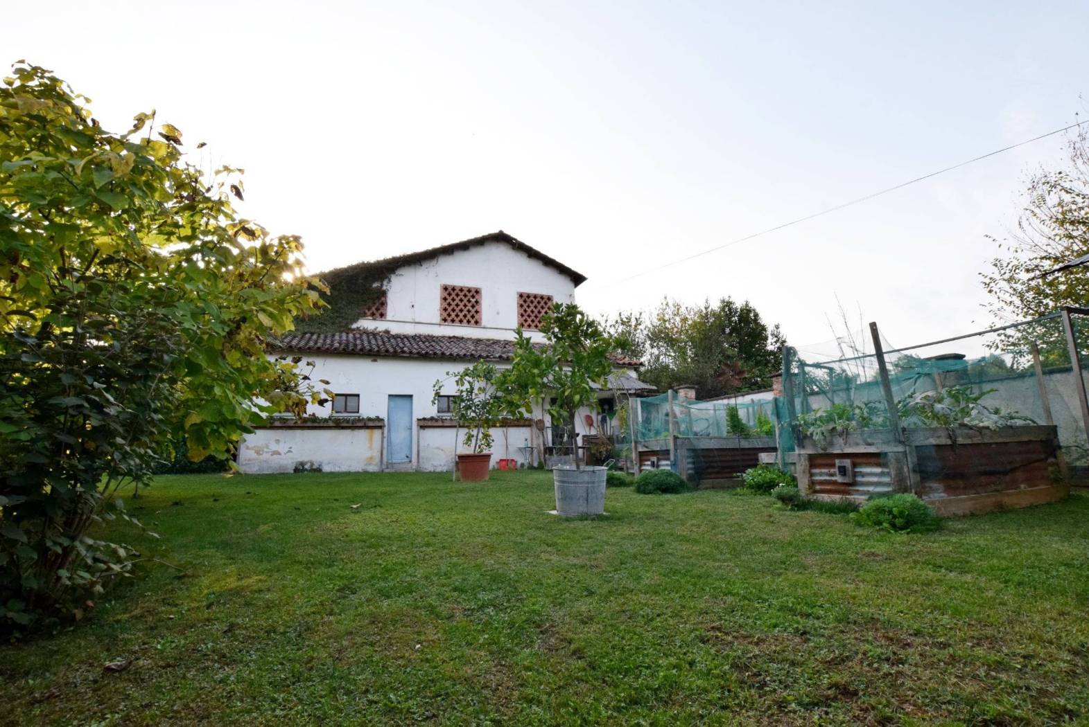 Giardino