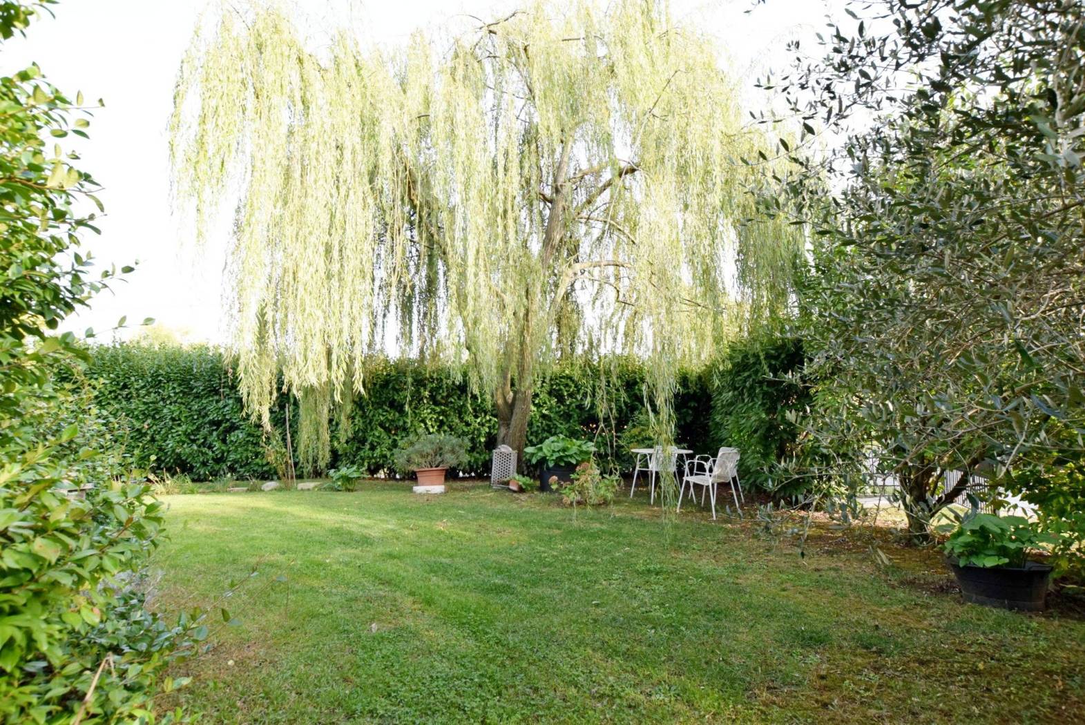 Giardino