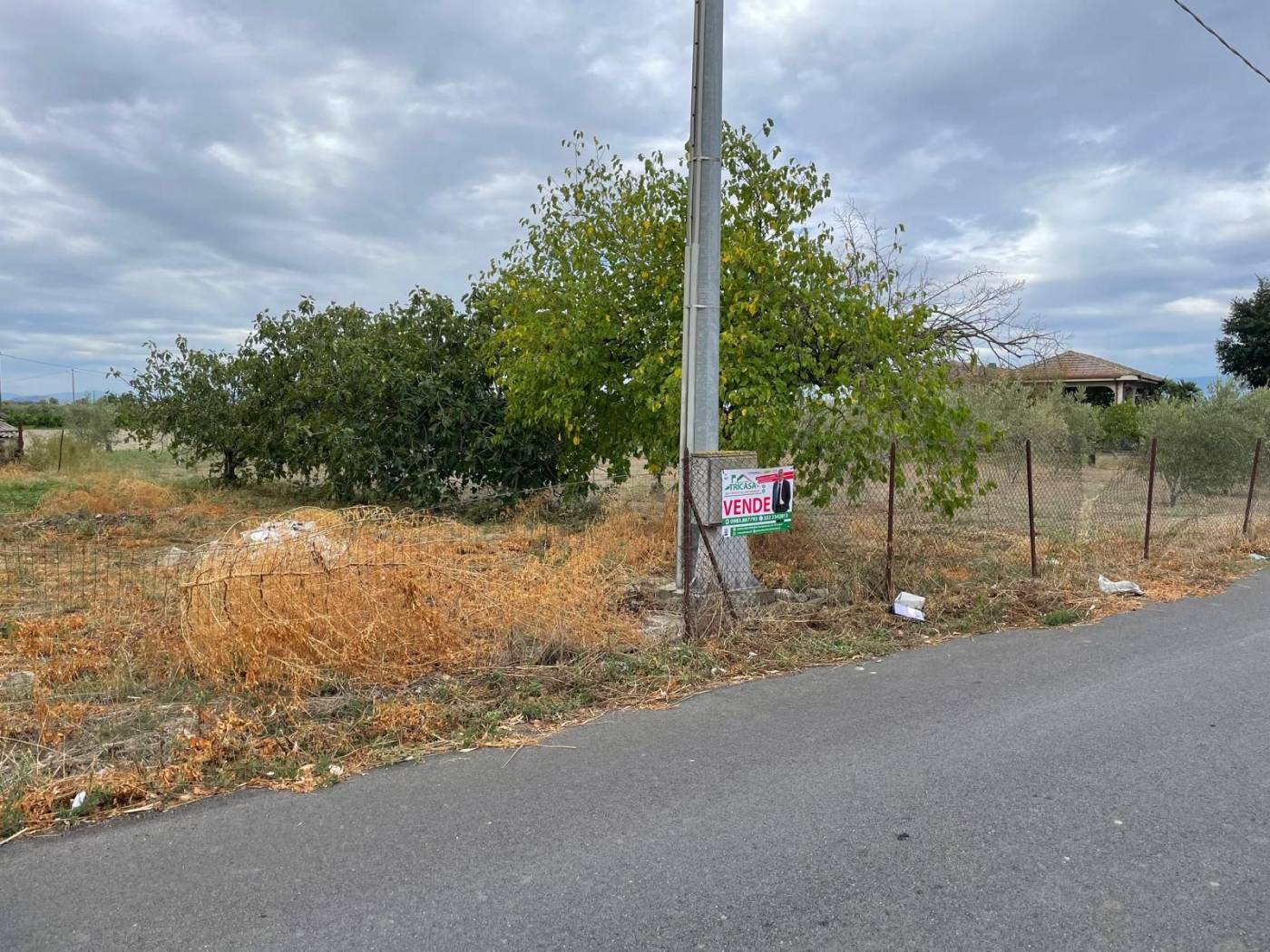 Terreno