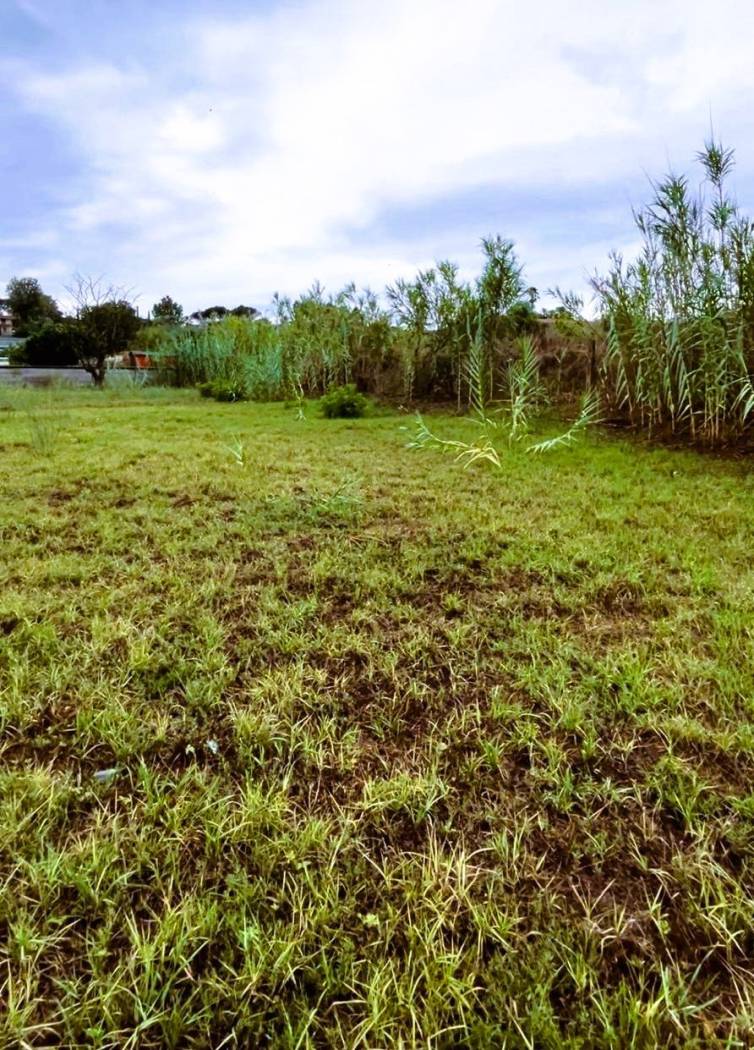 Terreno