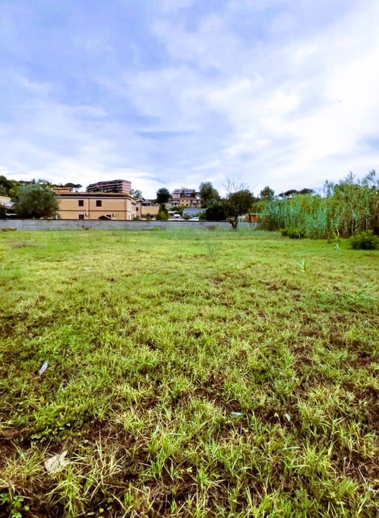 Terreno