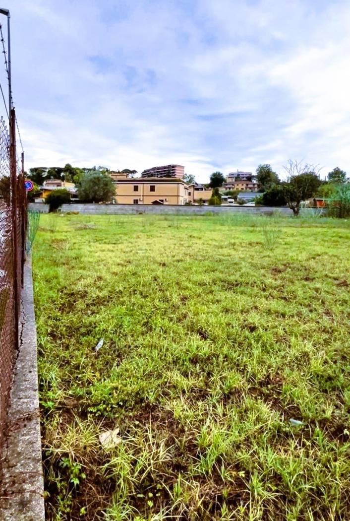 Terreno