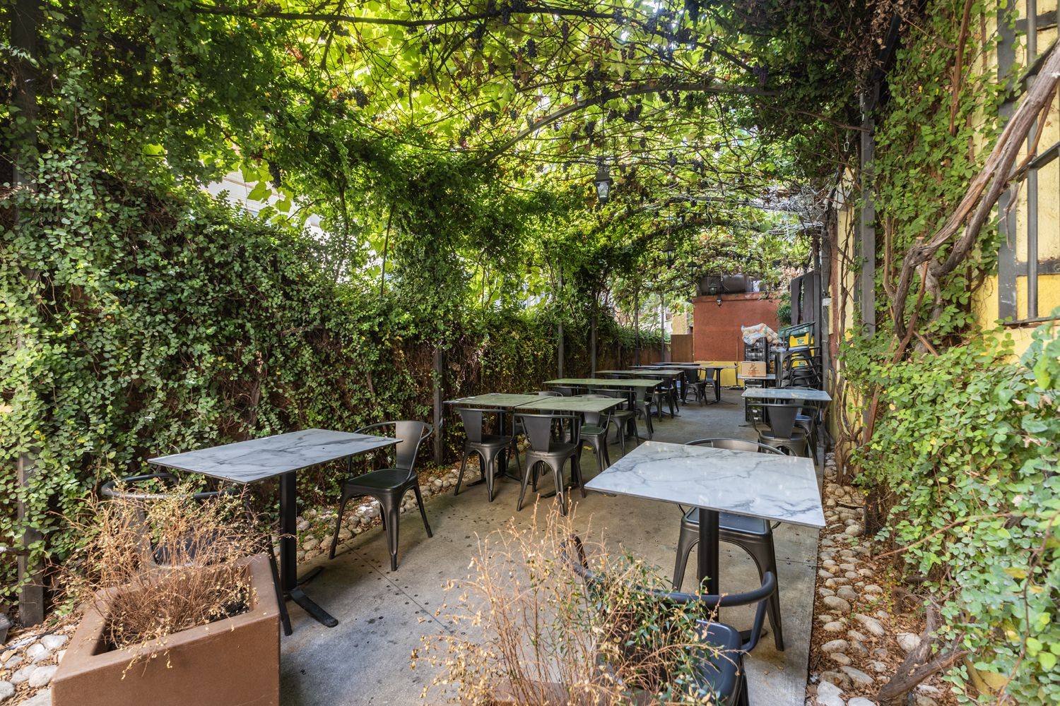 Giardino