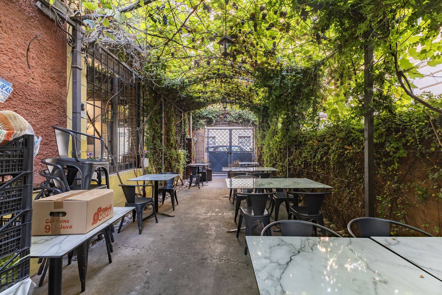 Giardino