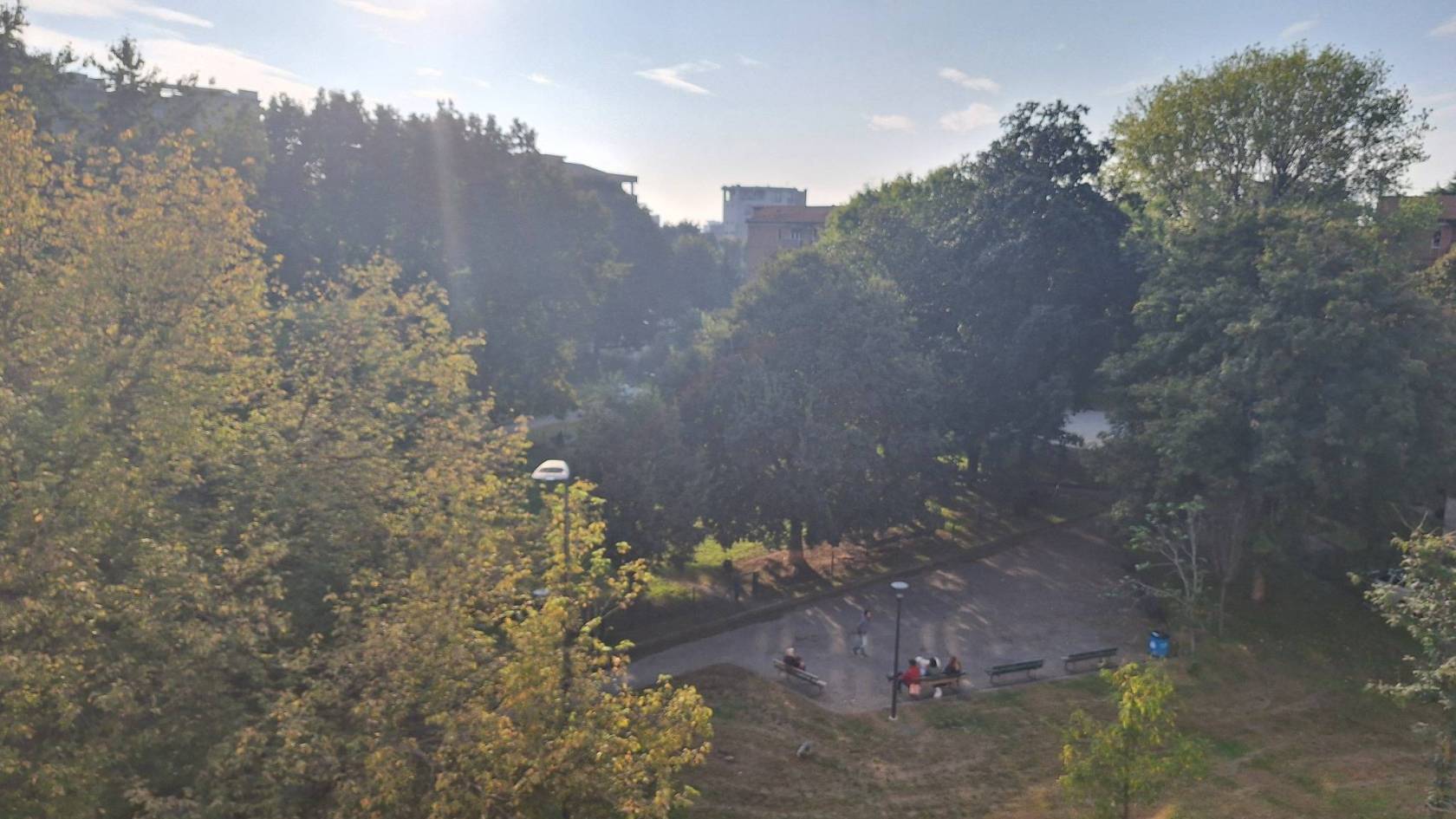 Vista