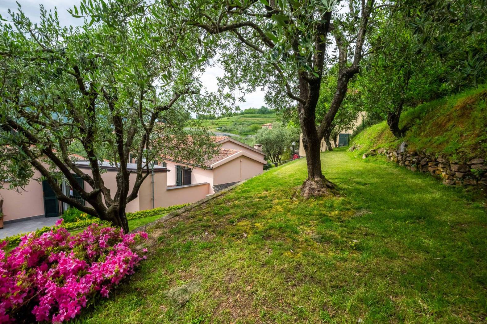 Giardino
