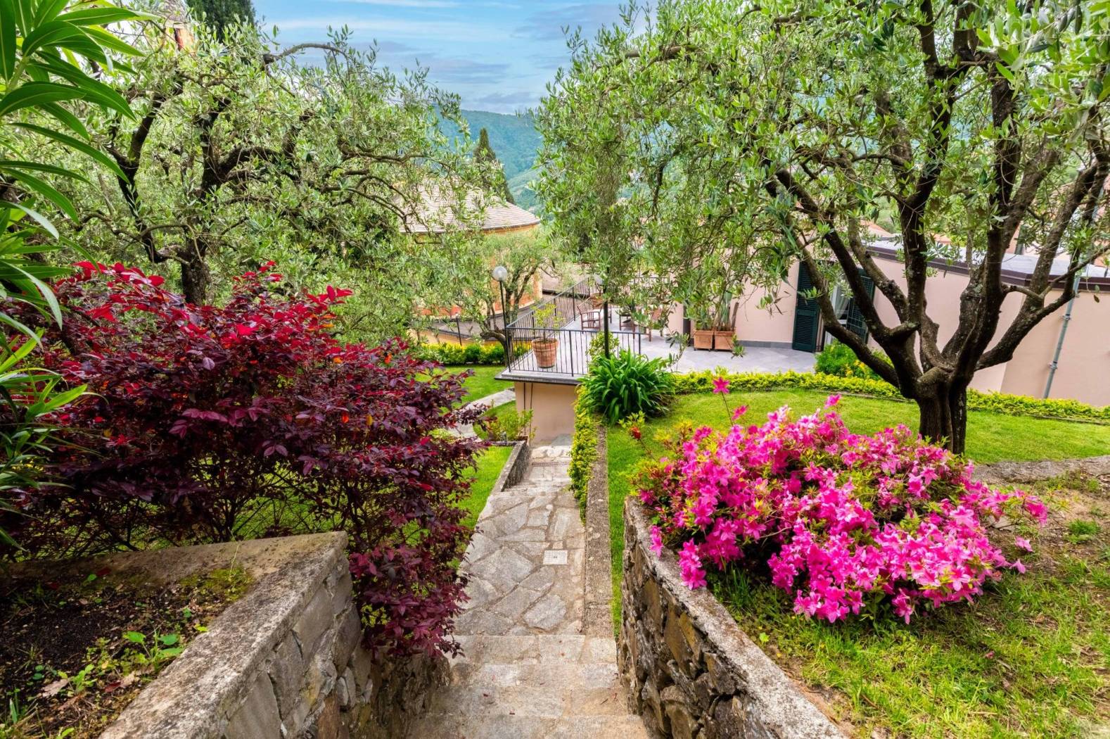 Giardino