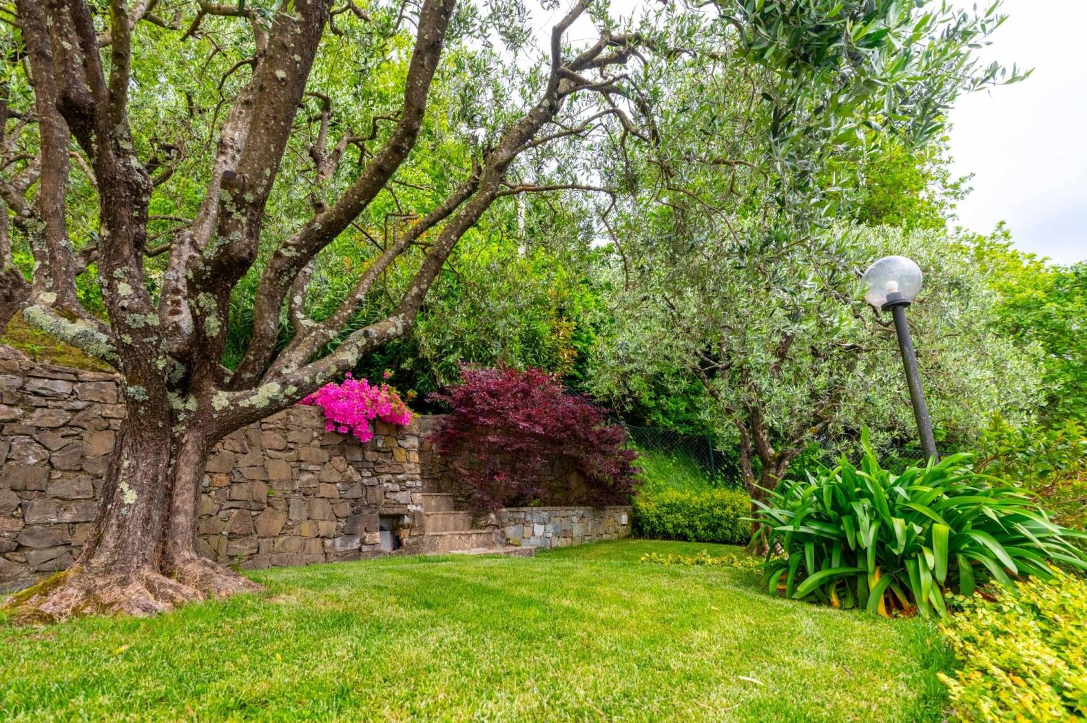Giardino