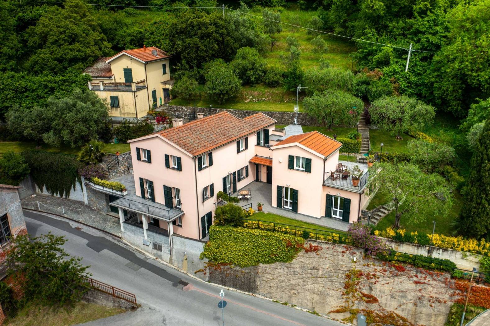 Vista