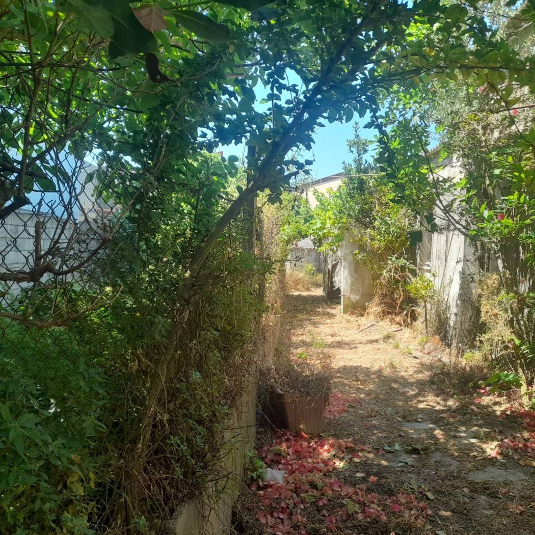 Terreno