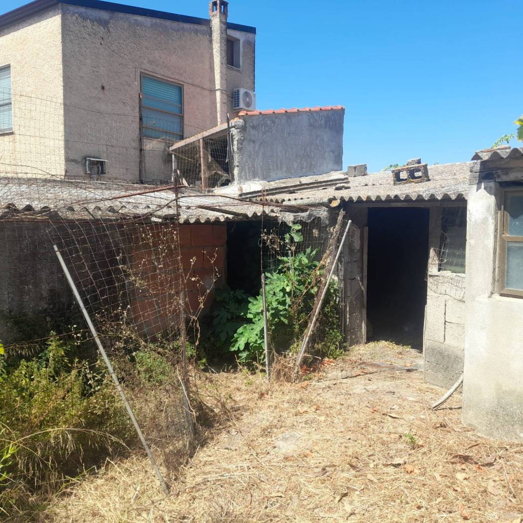 Terreno