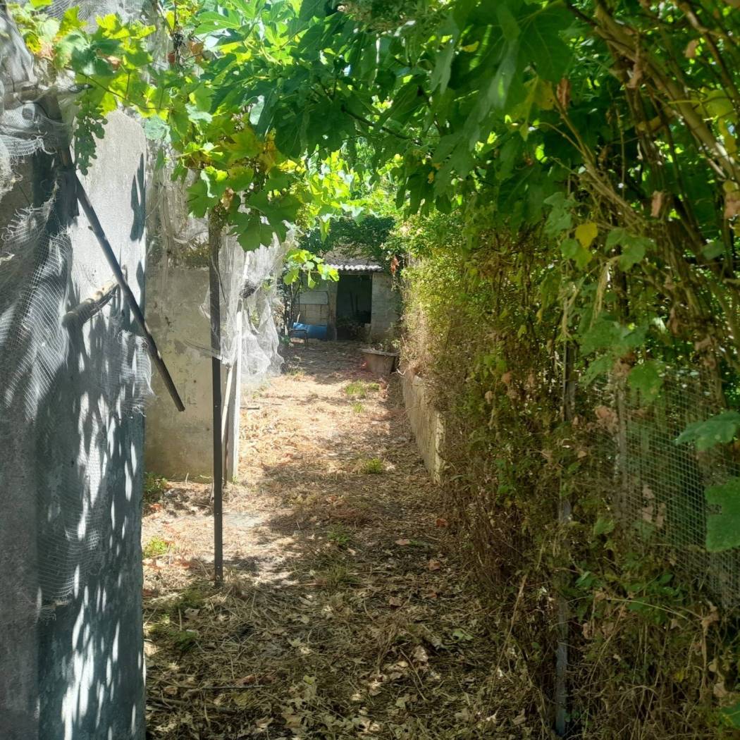 Terreno