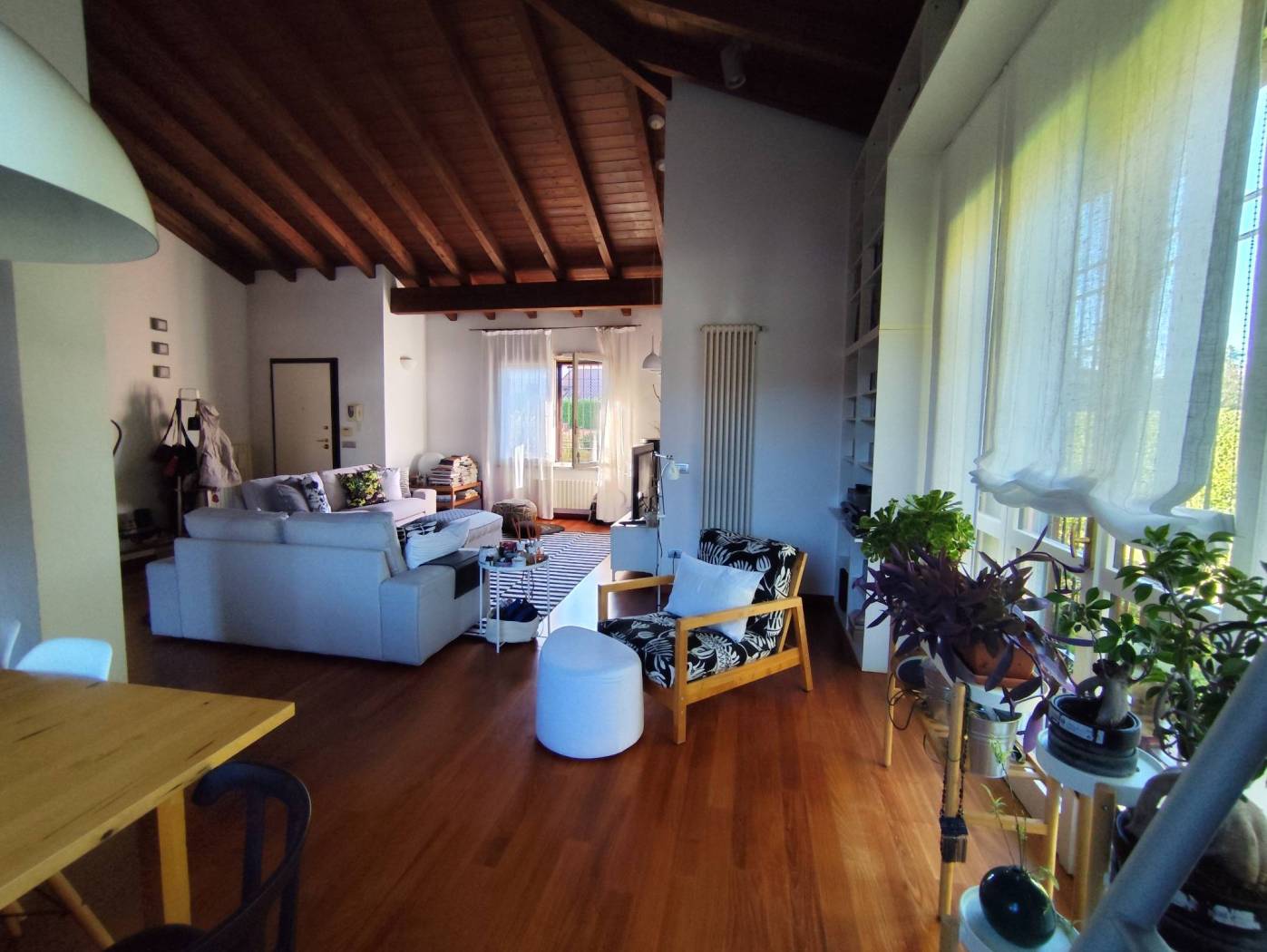 Salone