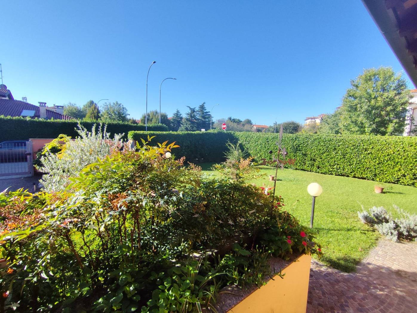 Giardino