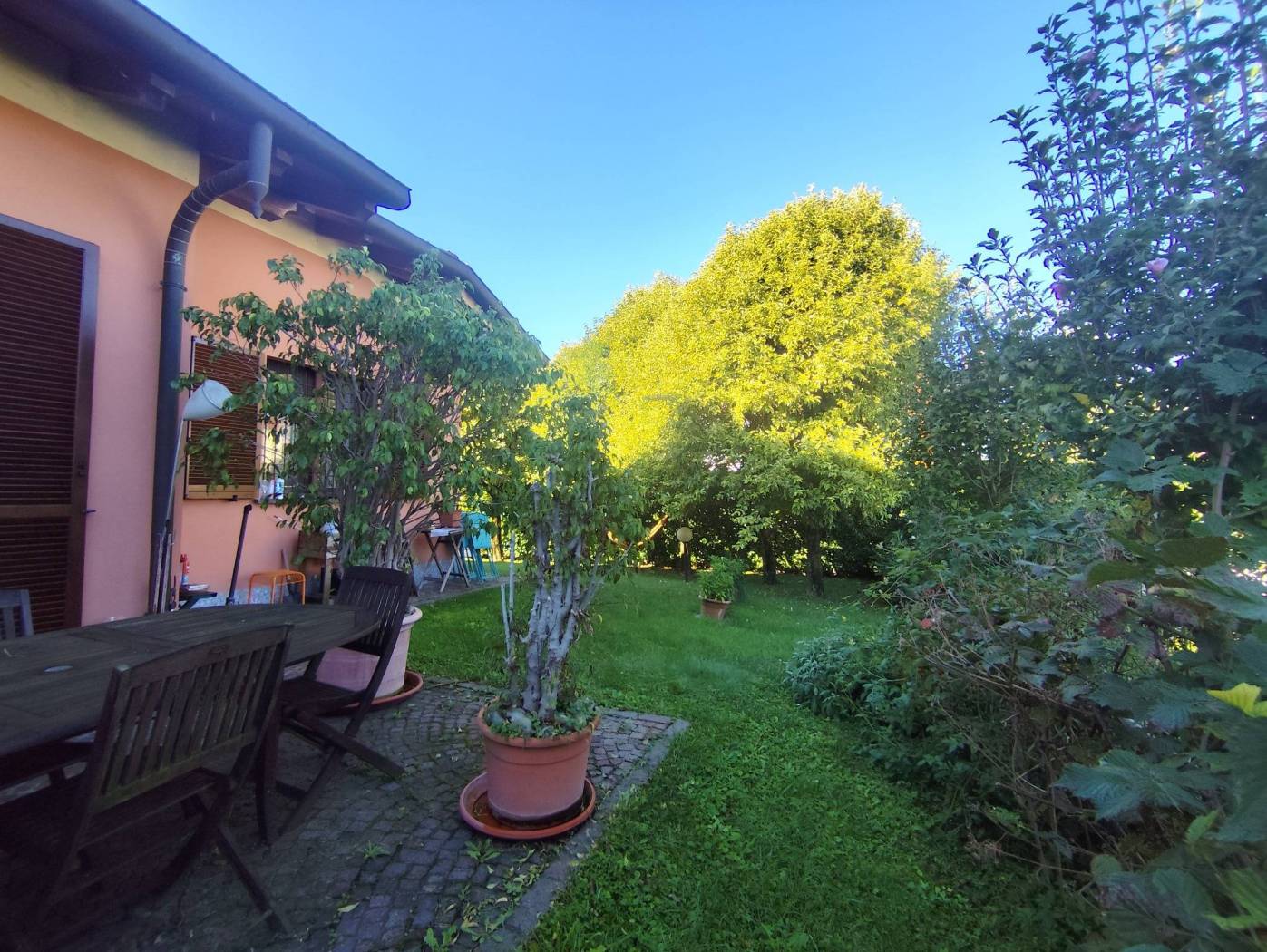 Giardino