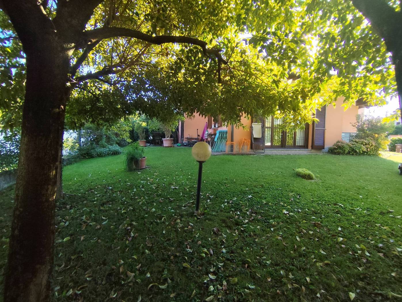 Giardino