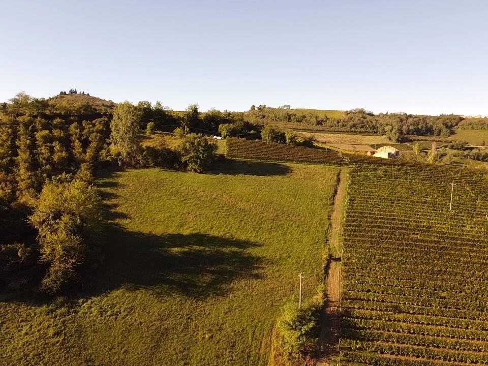 Terreno Terreno