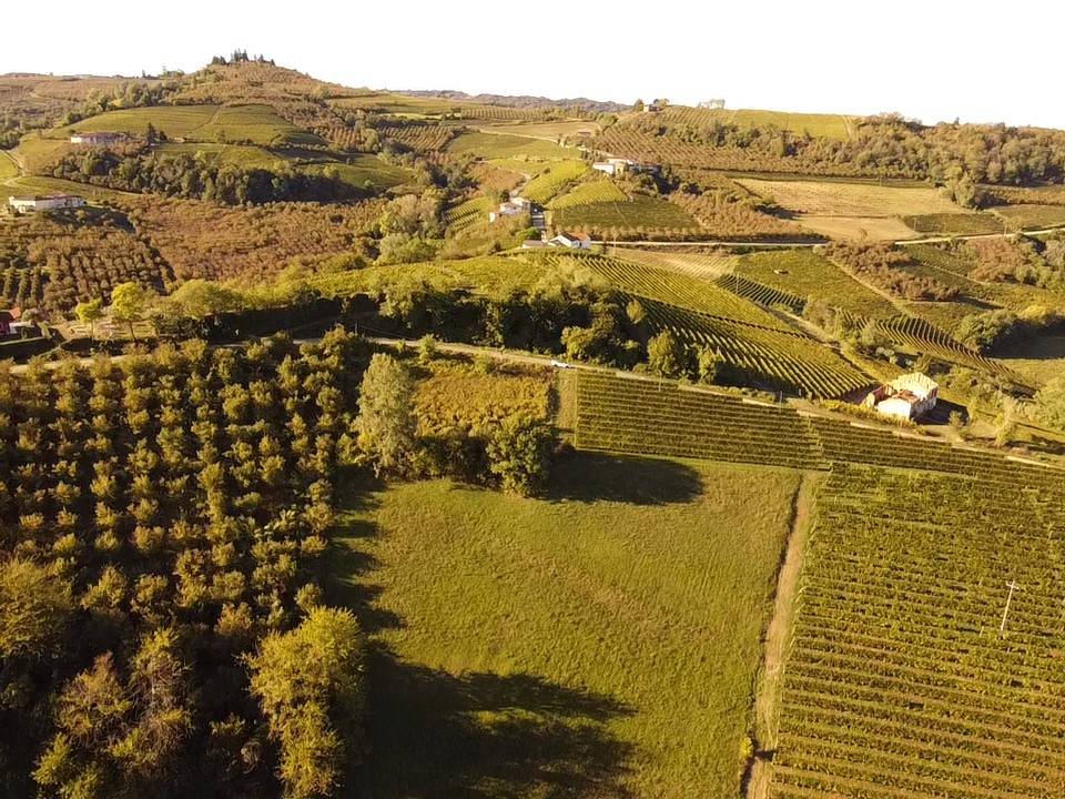 Vista Vista