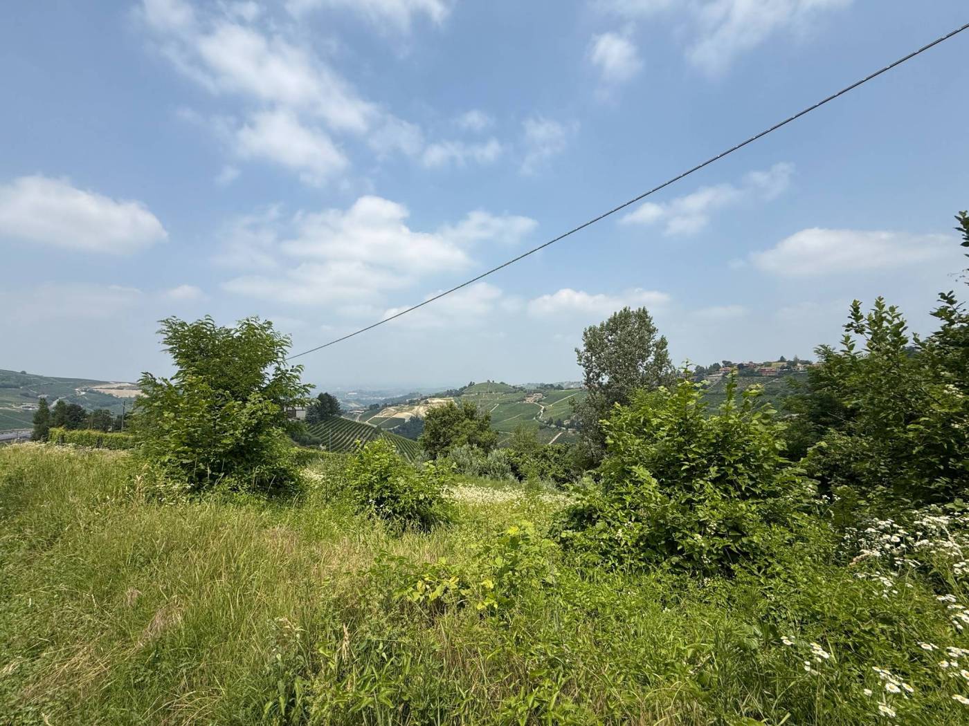 Terreno Terreno