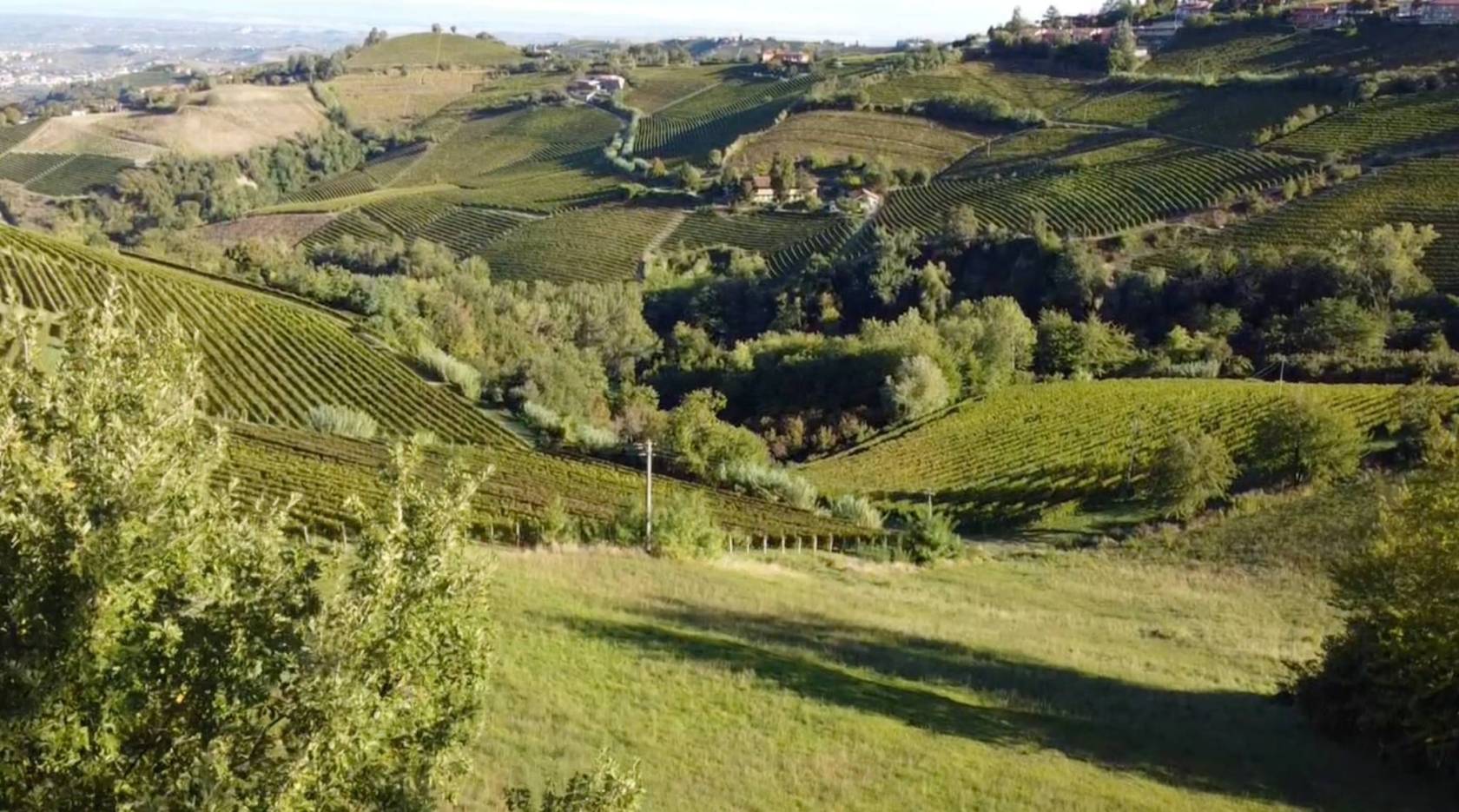 Terreno Terreno
