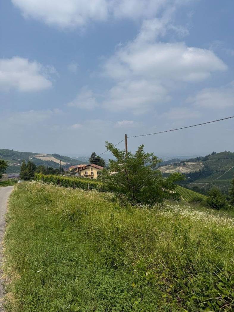 Terreno Terreno