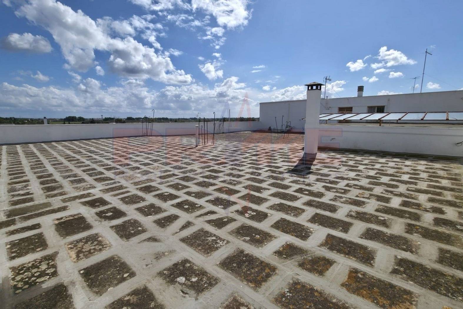 Terrazzo Terrazzo