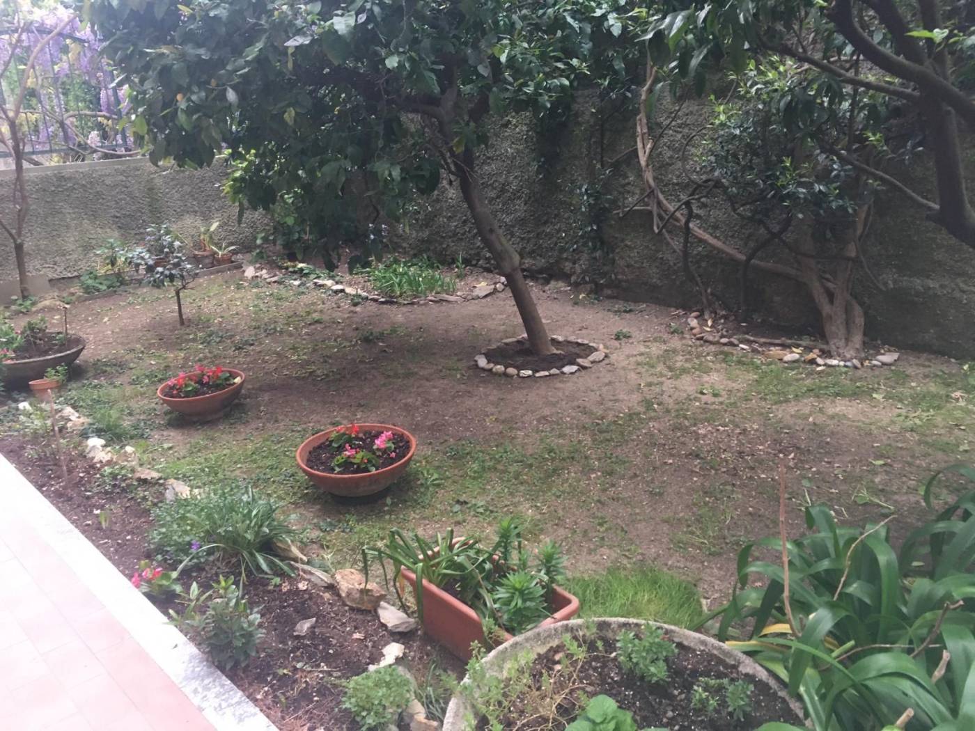 Giardino
