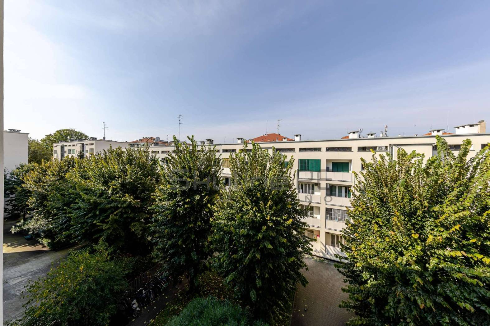 Vista