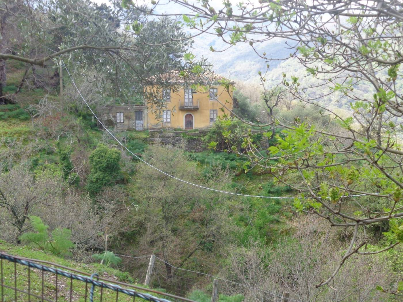 Terreno
