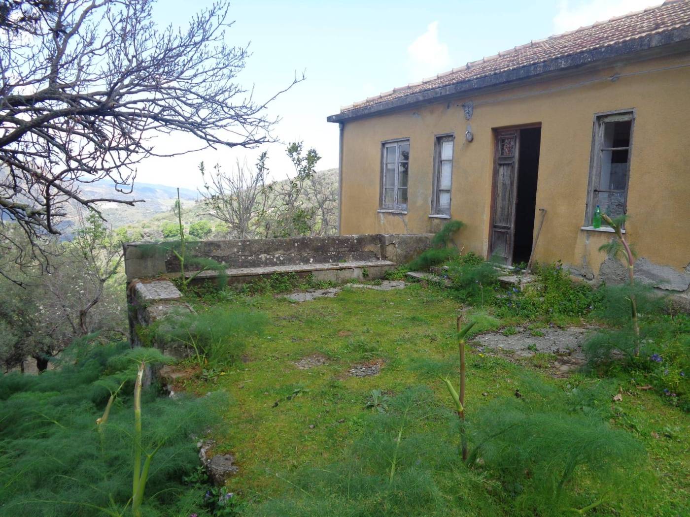 Terreno