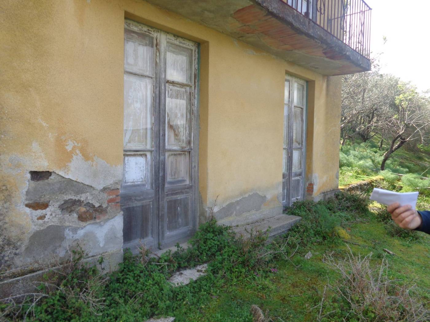Giardino