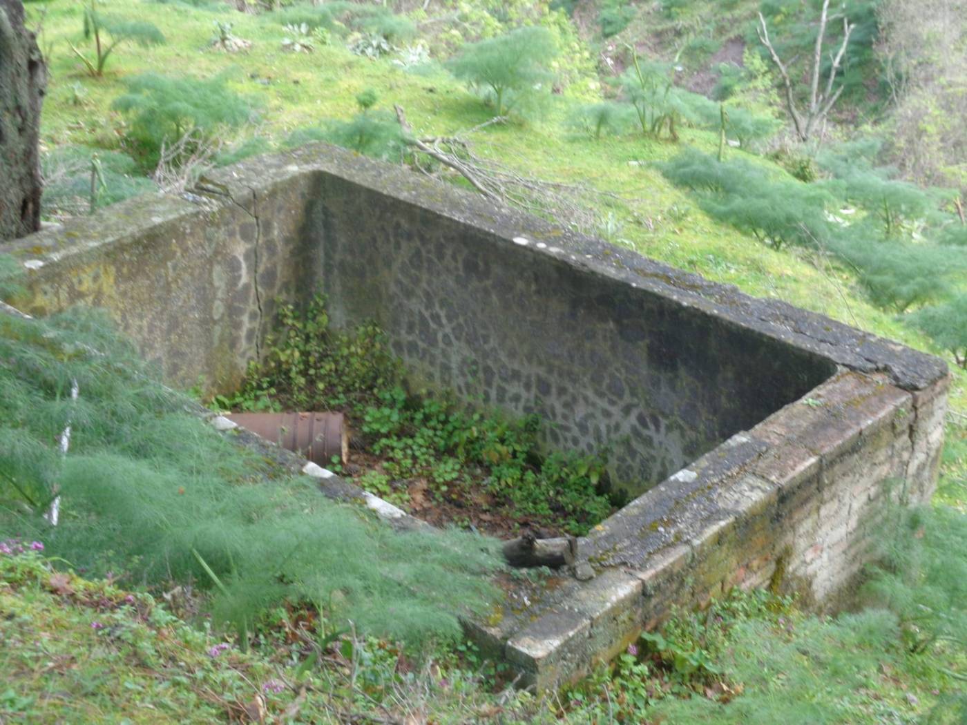 Terreno
