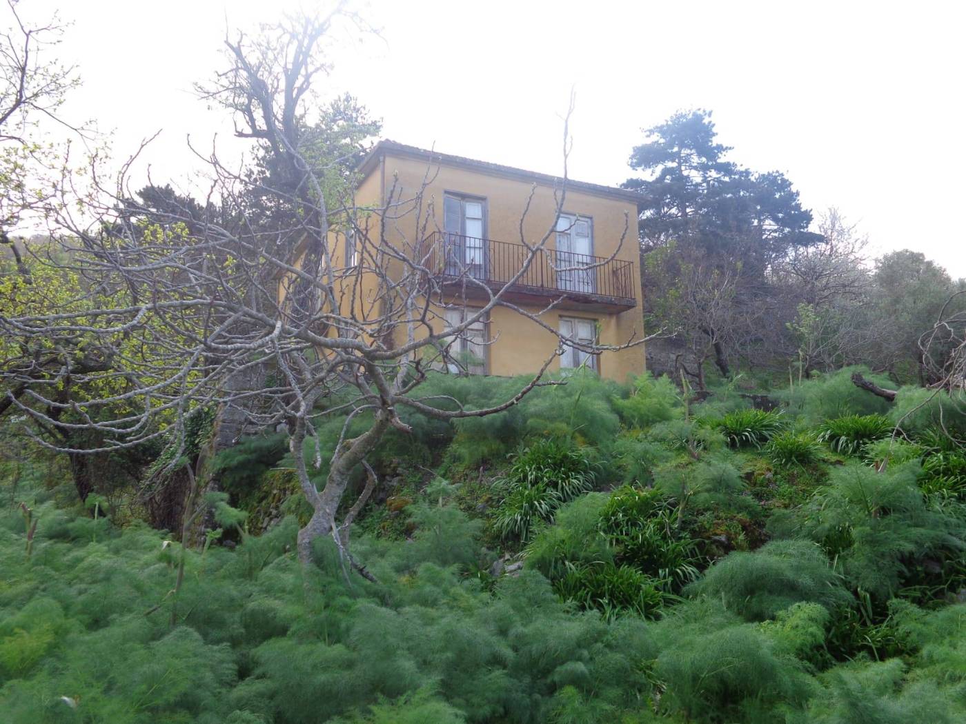 Terreno