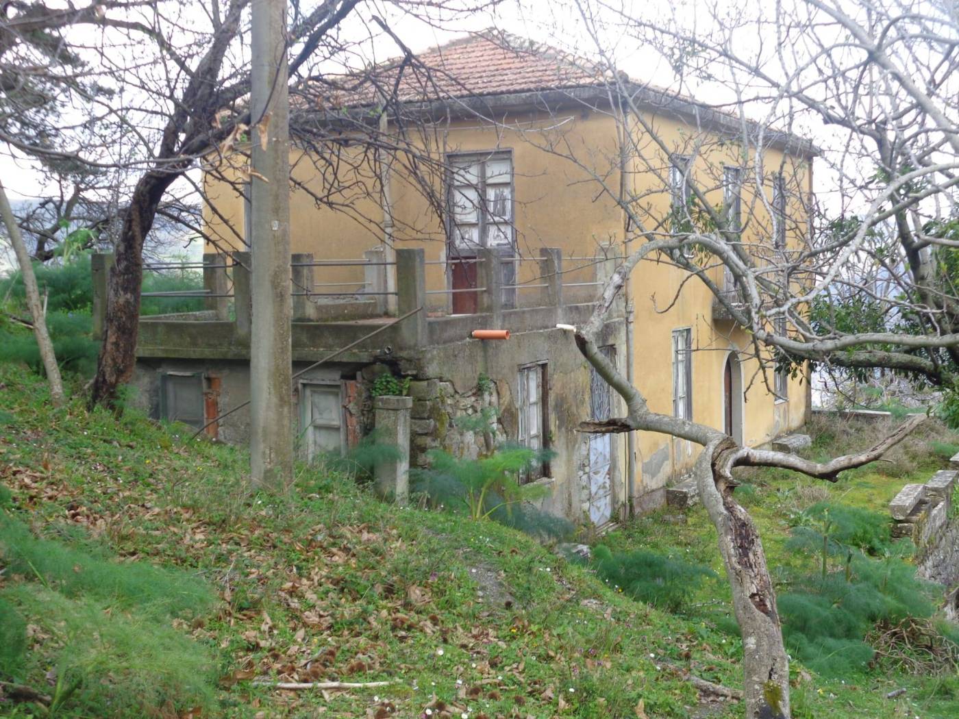 Terreno