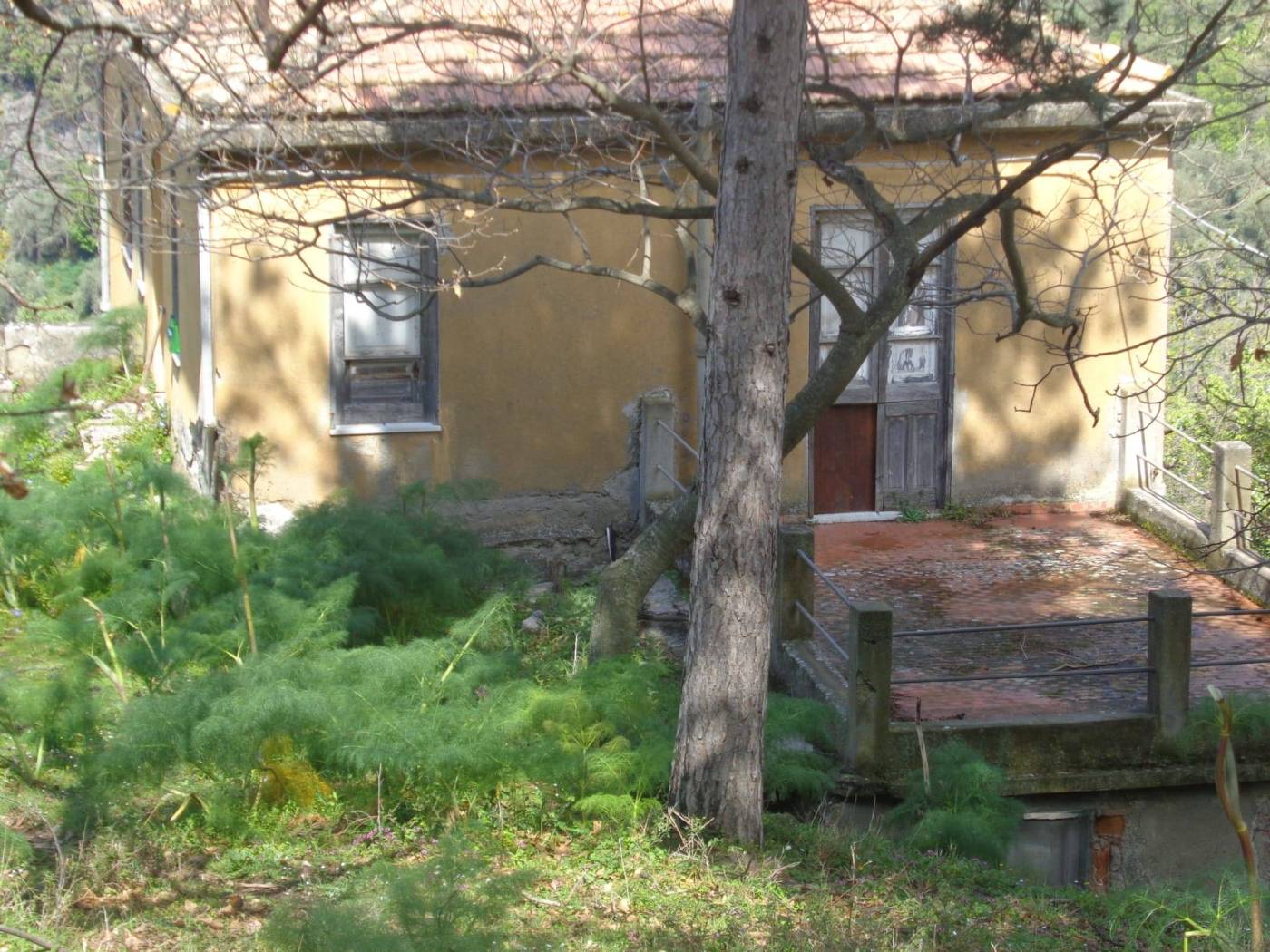 Terreno