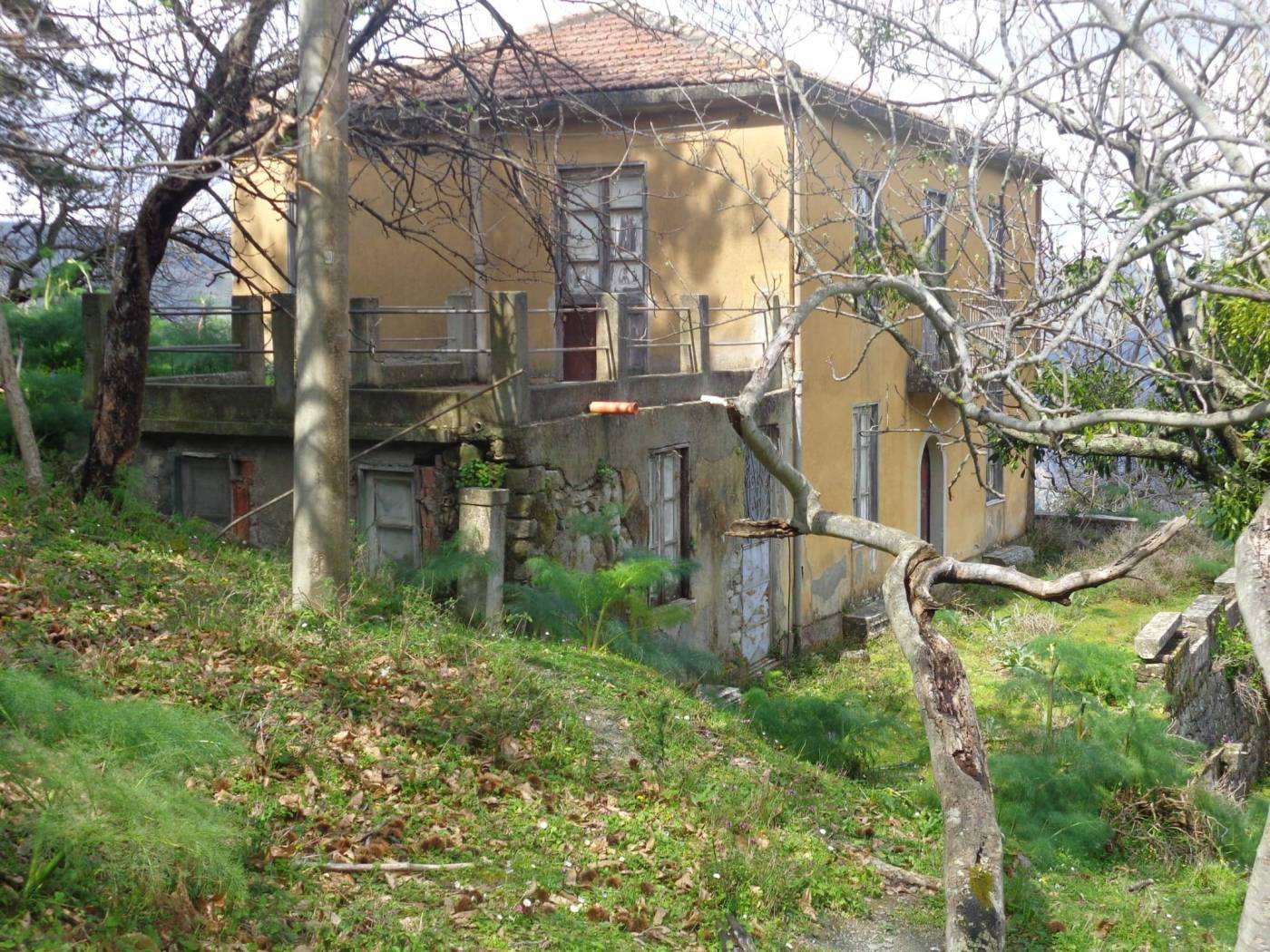 Terreno