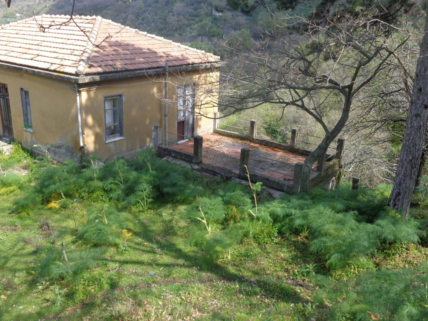 Terreno